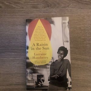 A Raisin In The Sun Book